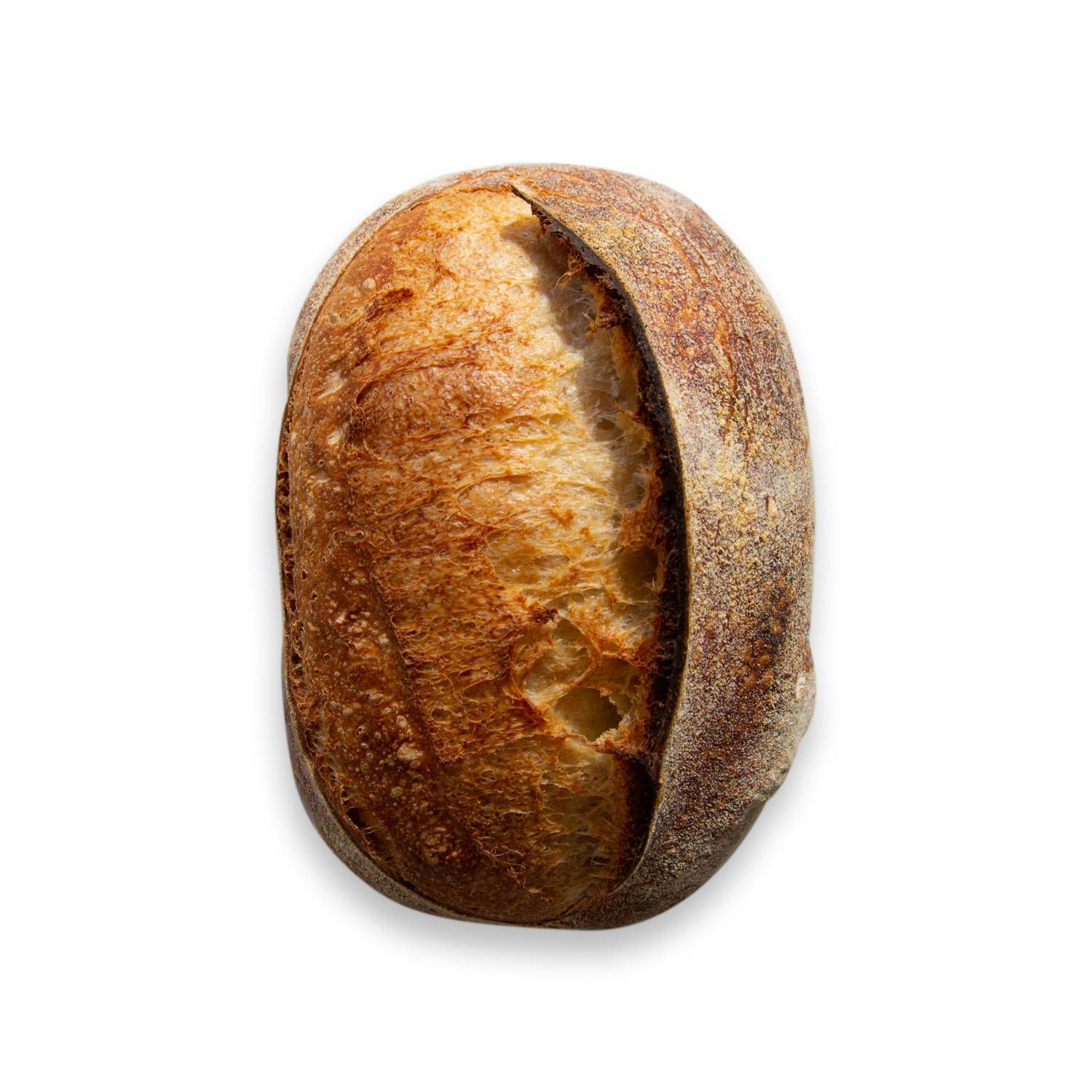 bread-with-ear-solo-1