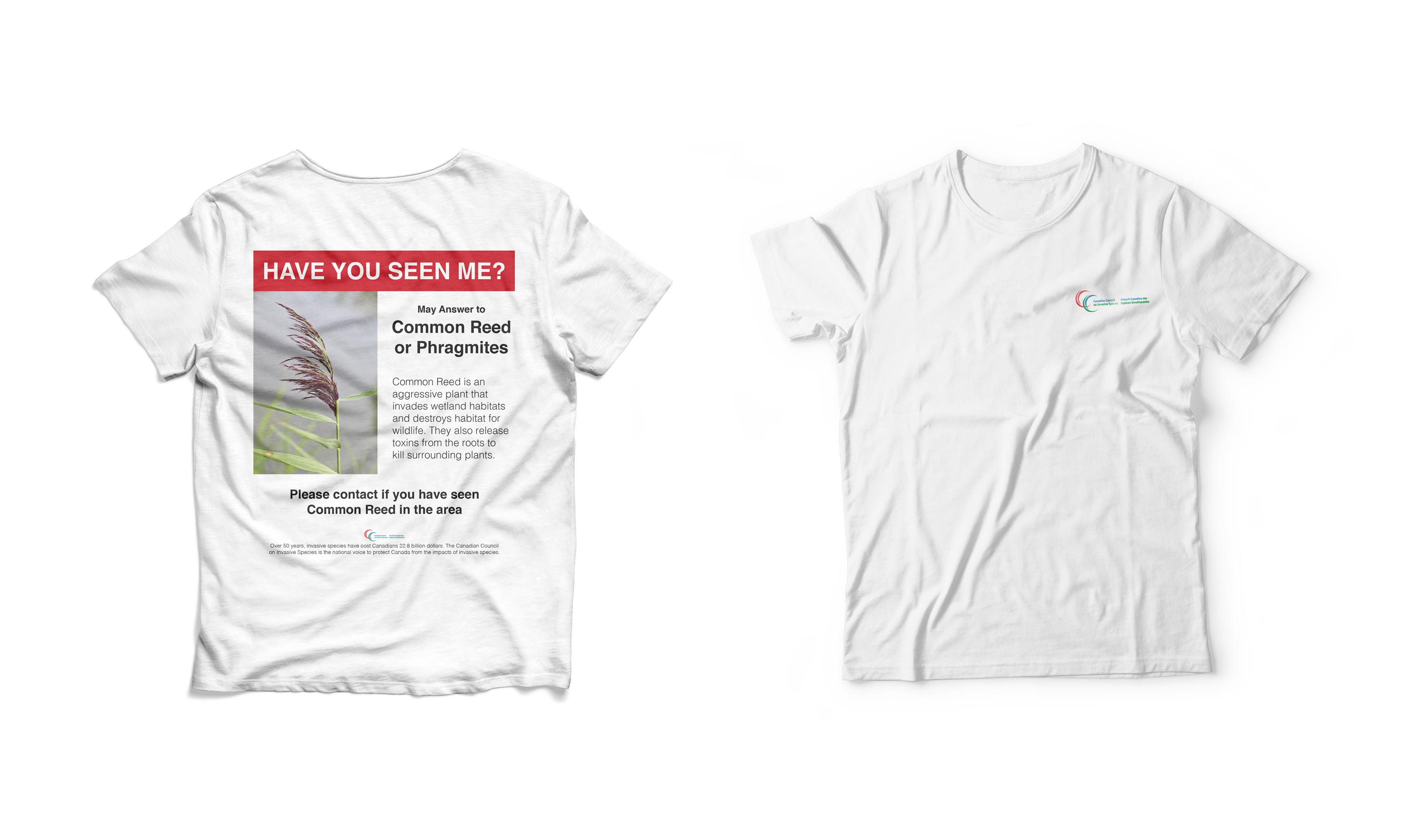 shirt-mockup-ccis-1